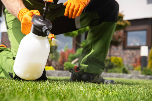 Best Flea Control Services  in Lake Leann, MI