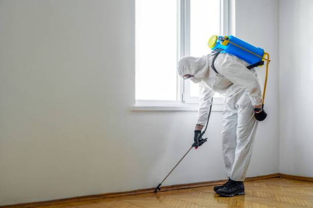 Best Affordable Pest Control Services  in Lake Leann, MI
