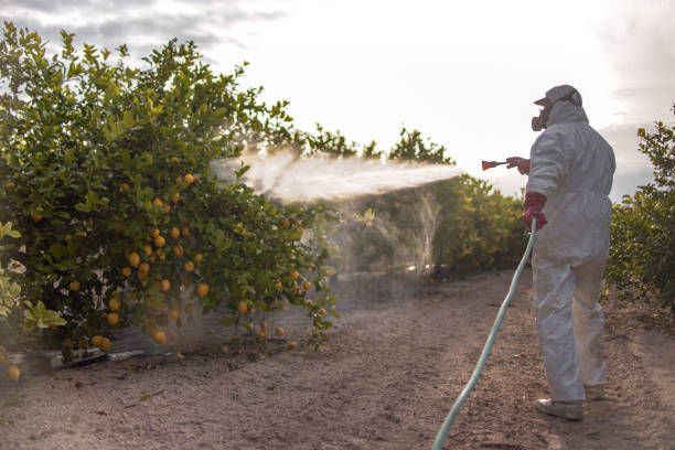 Best Insect Control  in Lake Leann, MI
