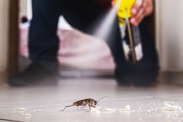 Flea Control Services in Lake Leann, MI